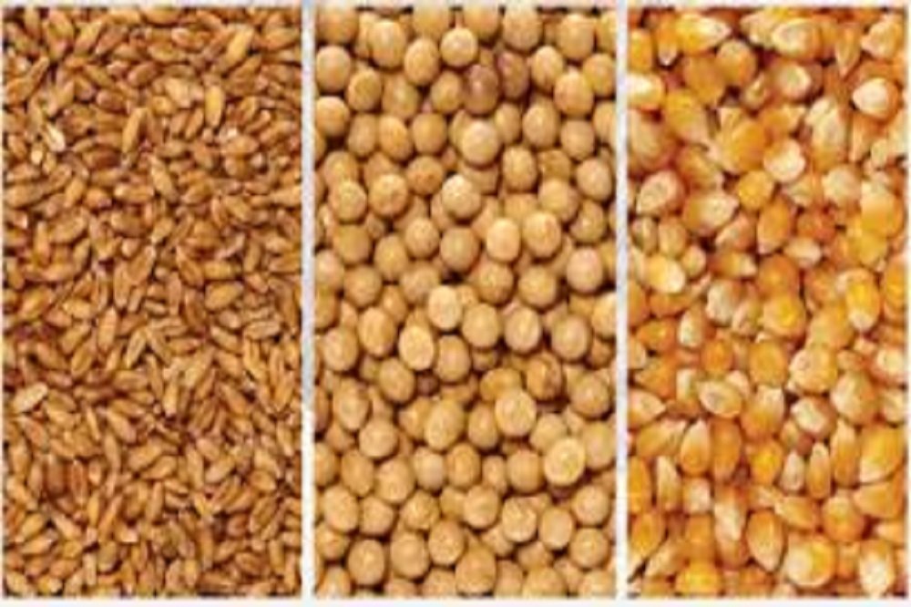 با دستور رئیس جمهور در کوتاه ترین مدت نهاده میرسد